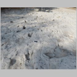 DSCN0757cr N side facing N.jpg